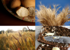 Thumb_maize